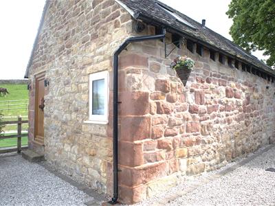 Picture 37